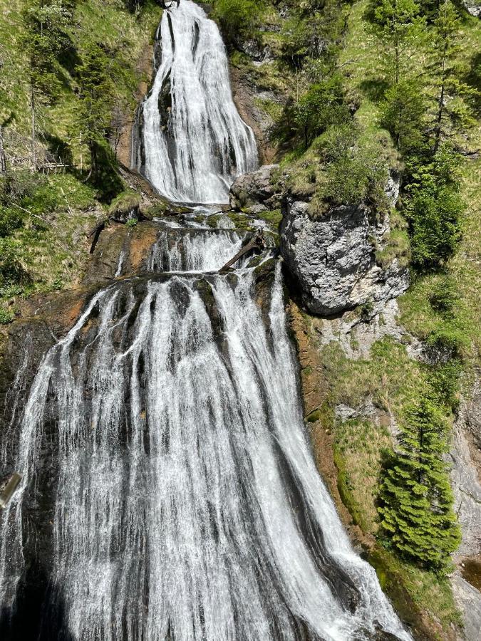 Berghaus Gesaeuse Pension Weng im Gesause Exterior photo